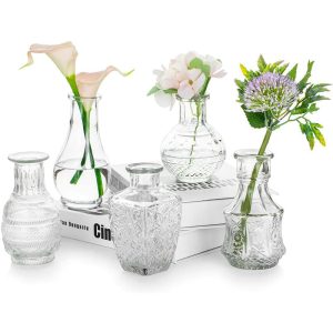 Glass Bud Vase Set of 5, Decorative Rustic Vases Embossed for Home Decor