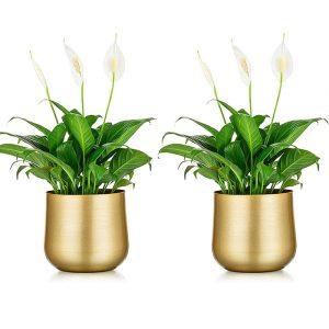 2Pcs Flower Vases for Table, Gold Vases Wedding Centrepieces for Indoor Outdoor Events Birthday Party